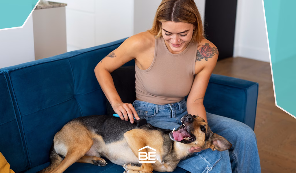 How to Find Pet-Friendly Rentals in Malta: A Comprehensive Guide